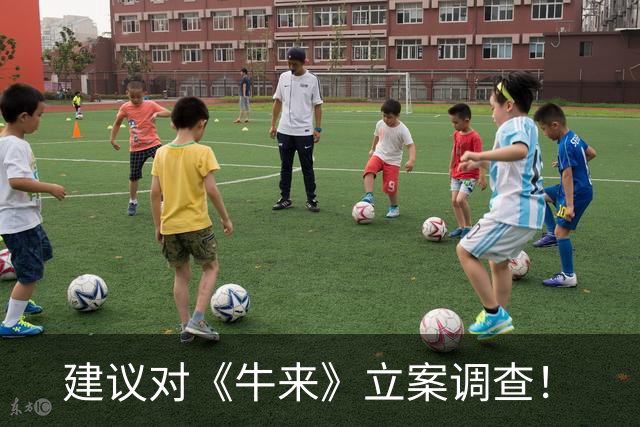 建议对《牛来》立案调查！
