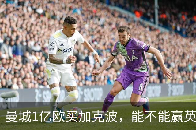 曼城1亿欧买加克波，能不能赢英超冠军？关键还看恩佐